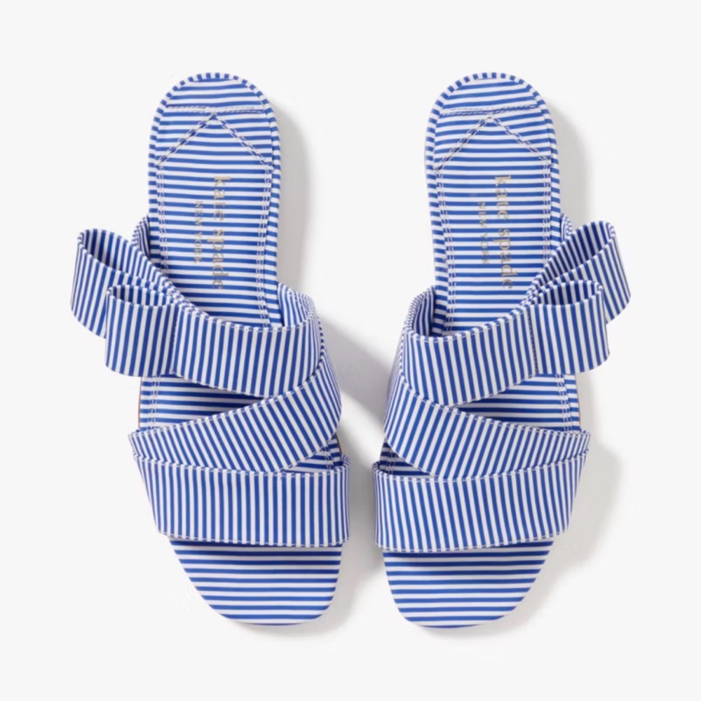 Kate Spade Blue and White Striped Accessory